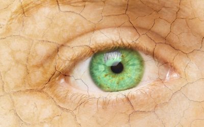 Using Cell Defence Saffron Eye Firming Serum & Fenugreek Eye Cream: How to treat Dry Eyes & Dry Eye Skin