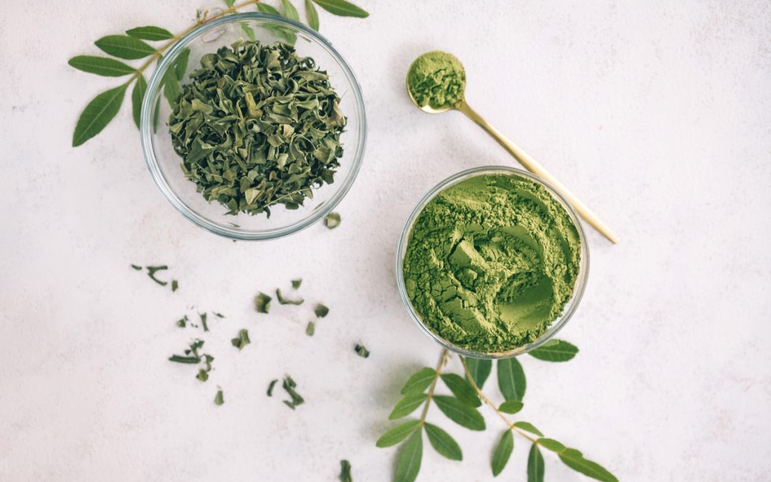 Embrace Indian Moringa: Elevate Your Daily Routine with Nature’s Nourishment